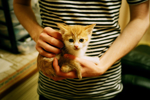 王者荣耀 新赛季冠军呼声高涨,王者荣耀冠军赛时间