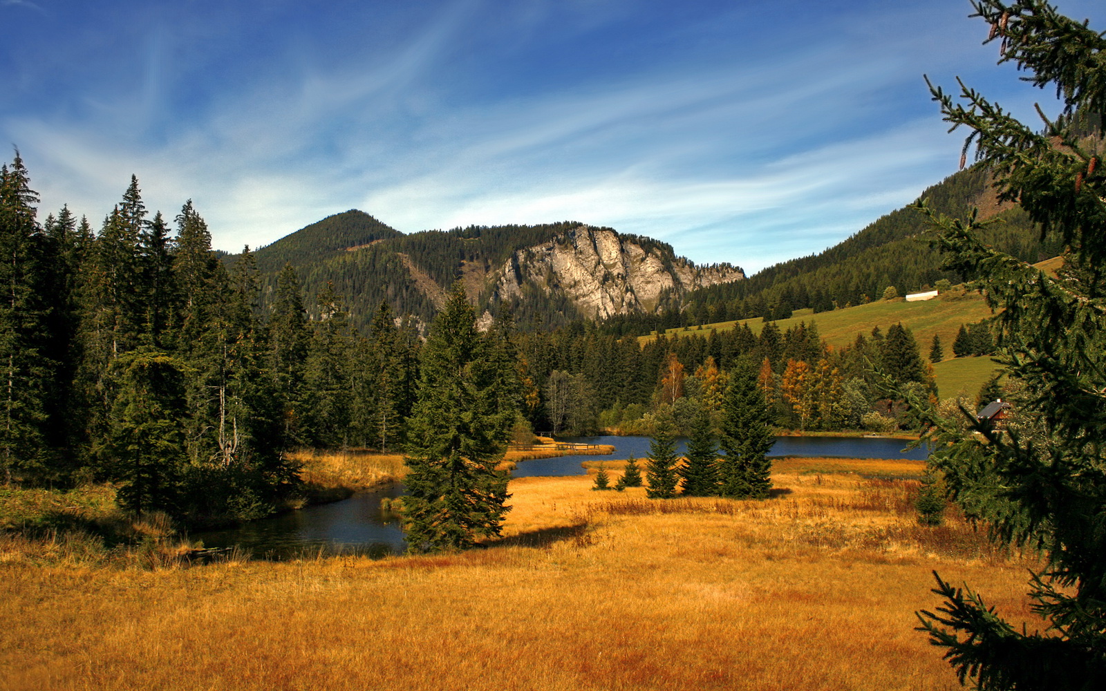 FB SPORTS-科比：用整整20年的“曼巴人生”影响一代又一代！，科比曼巴ep