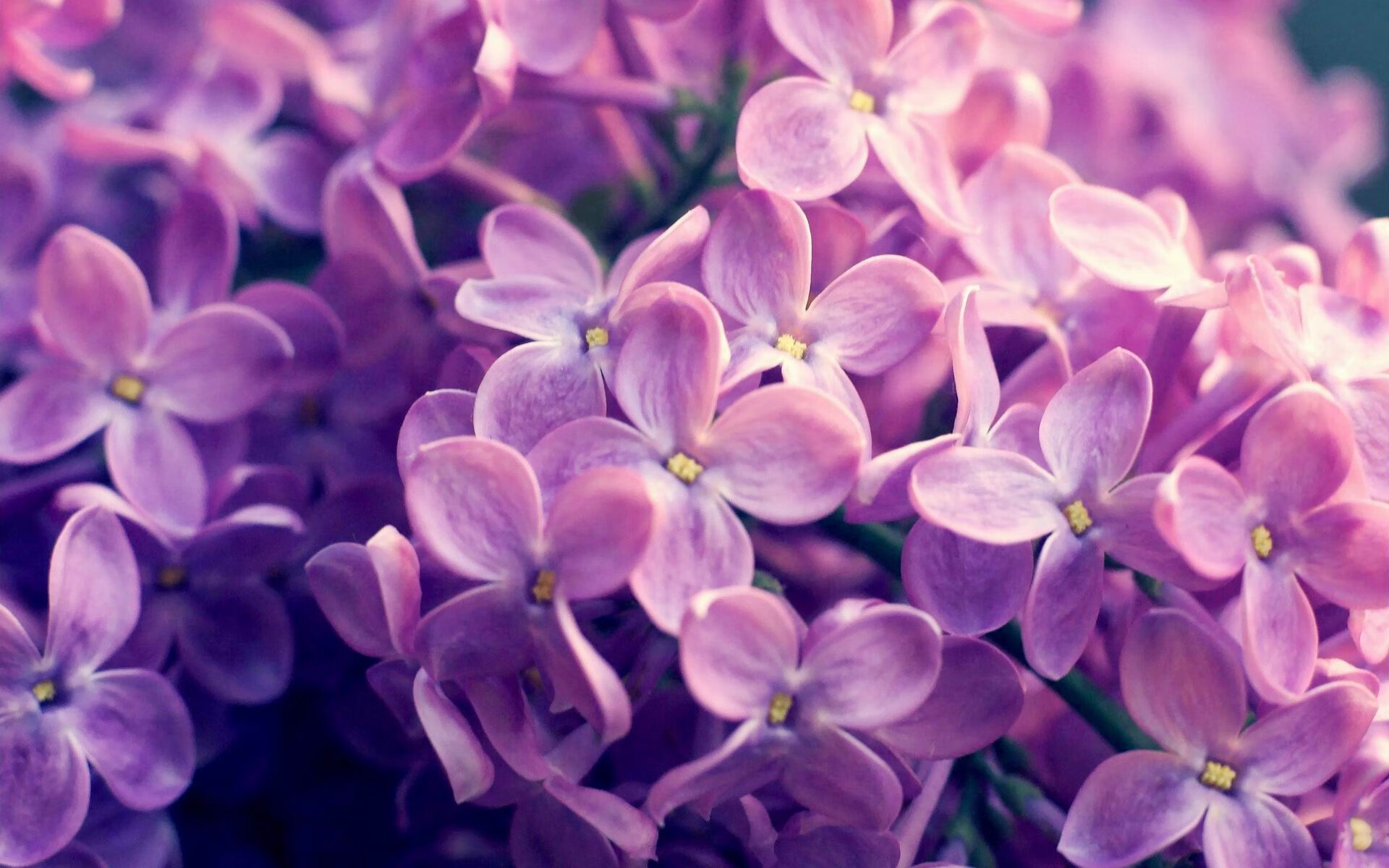 fb体育平台-科比：用汗水浇灌出的是永不凋谢的篮球传奇！，spalding科比篮球