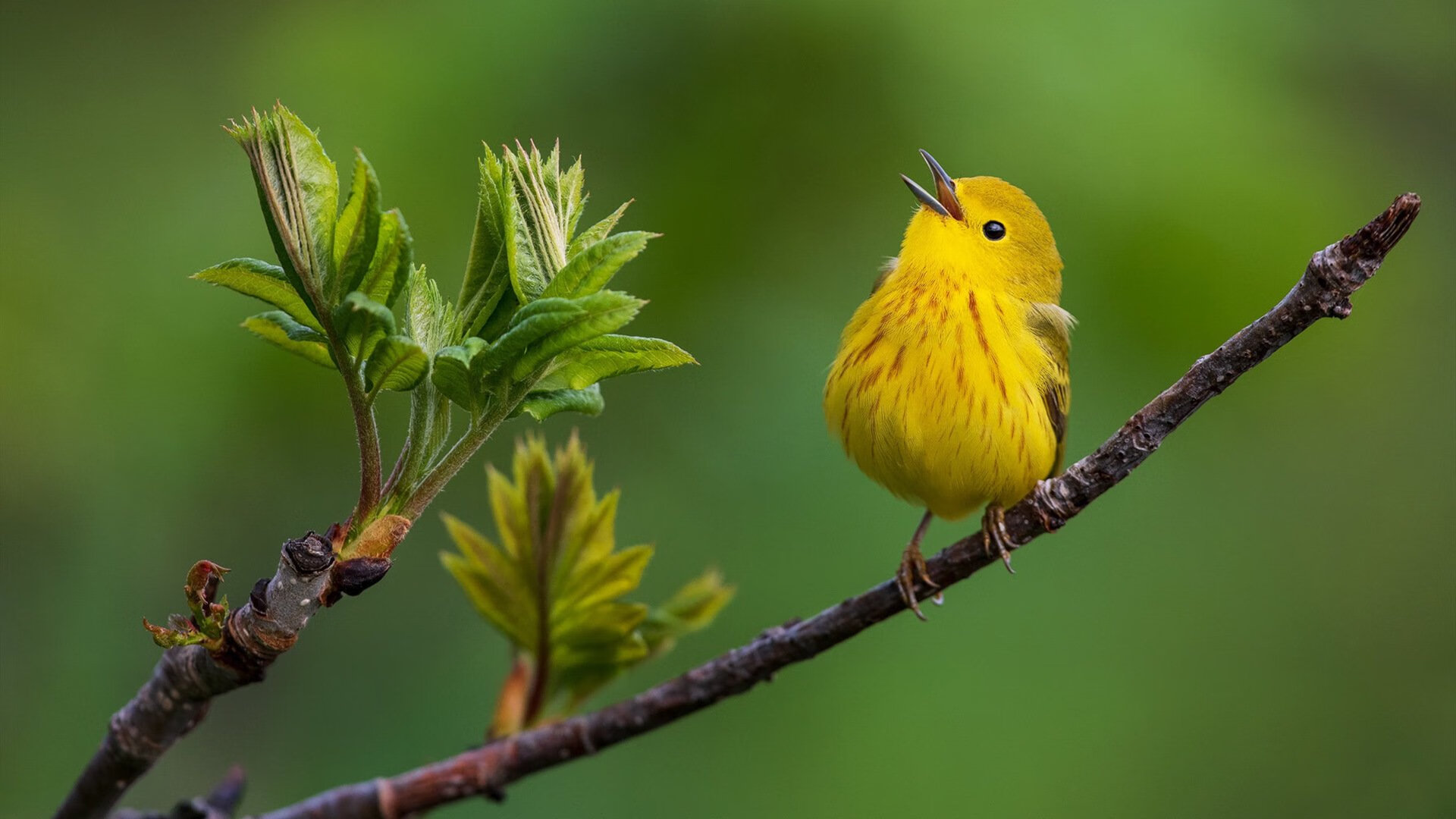 fb体育官网入口-职业足球教练培训班毕业生就业率攀升，足球教练学校