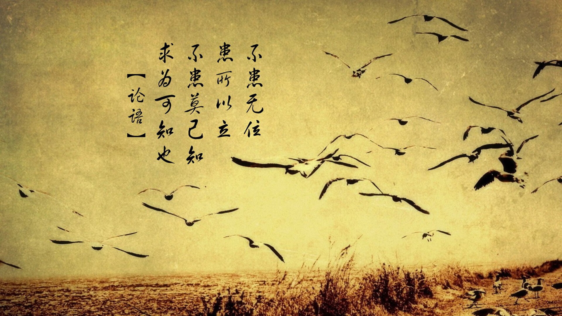 fb sports官网-踢毽子挑战赛：中华传统韵味，踢毽子比赛游戏规则