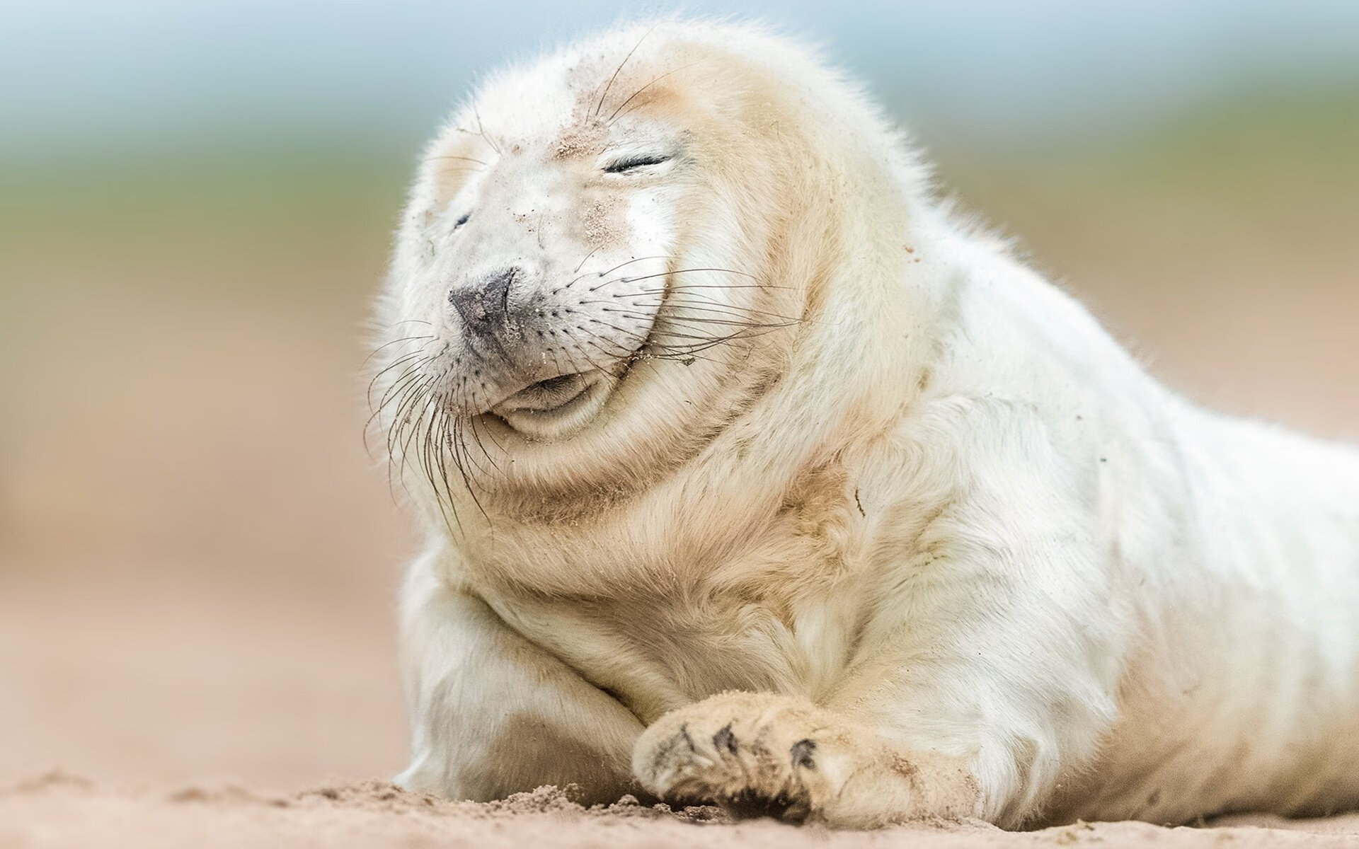 FB真人电子游戏-兰斯是否能将青年才俊转化为稳定战力，兰斯强吗