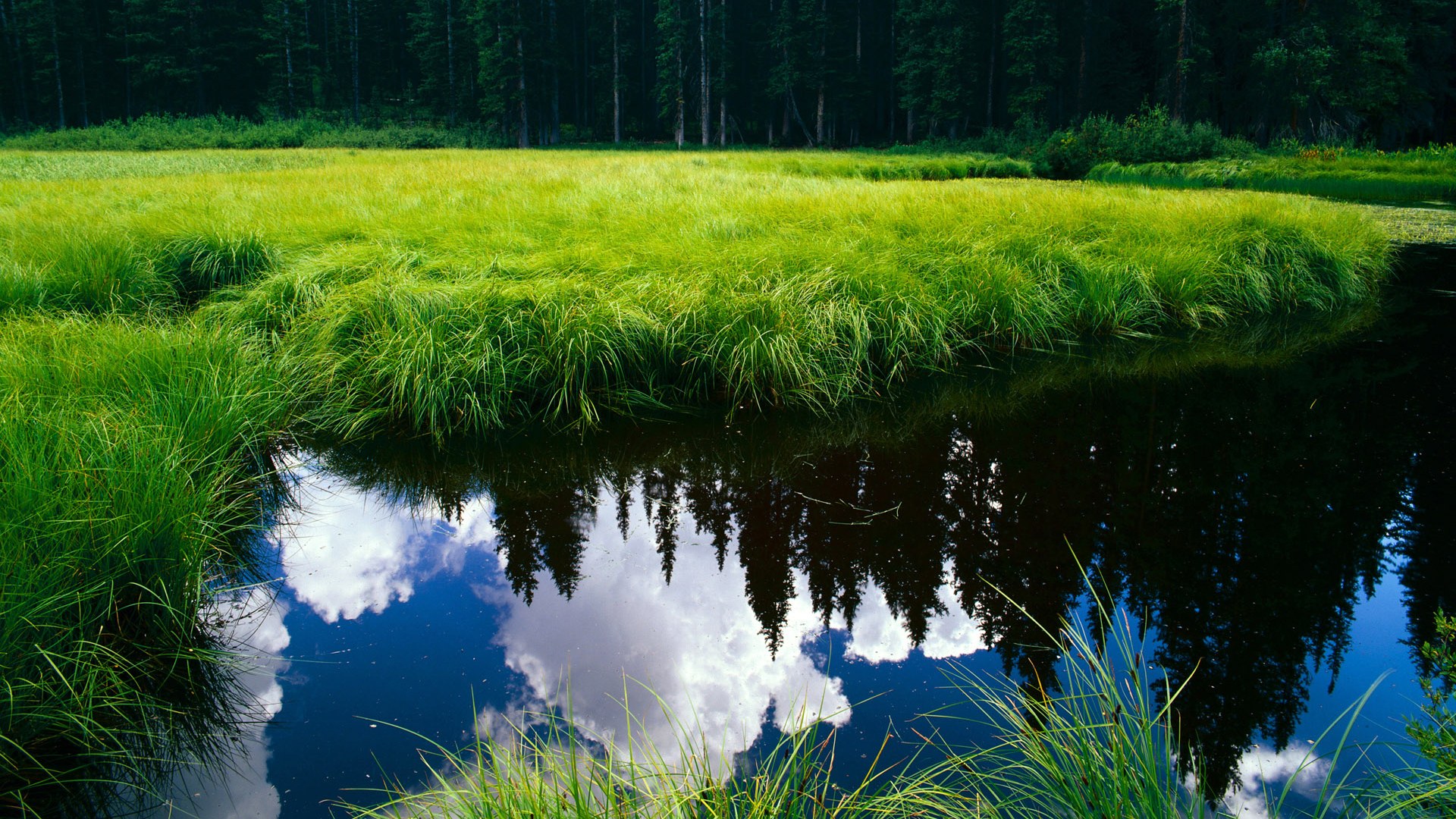 fb体育登录入口-扎马莱克备战非洲冠军联赛，目标夺冠，2021扎克