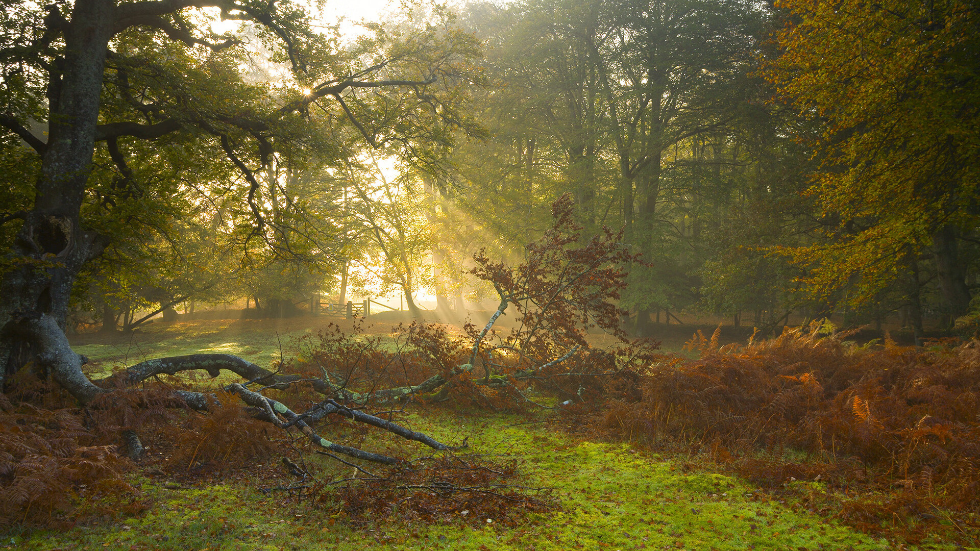 fb体育平台-球队高层决策是否足够专业，高层管理者关注的决策类型