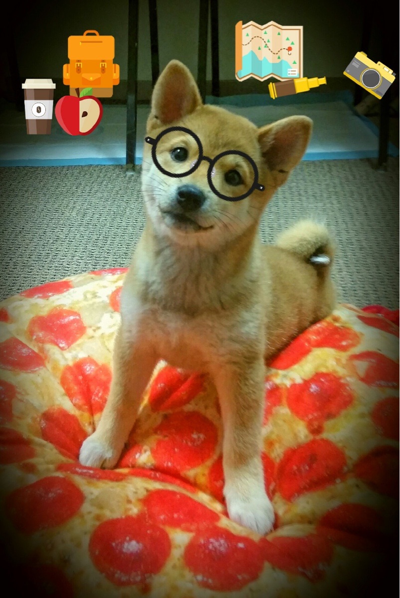 fb sports官网-罗马客场爆冷负于都灵，主场连续不胜客场表现一般，罗马客场队服