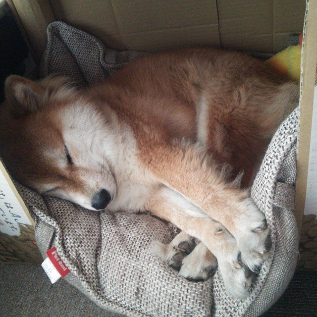 FB真人电子游戏-莱比锡红牛在主场击败对手，豪取重要三分，莱比锡红牛是哪个联赛的球队