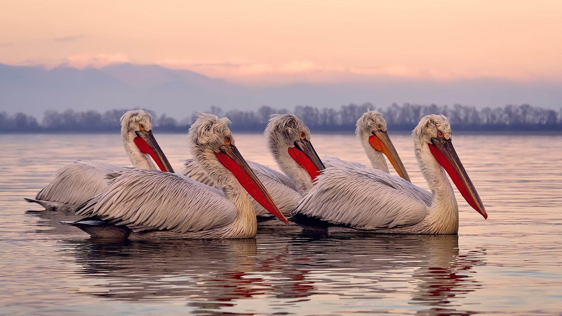fb体育电竞-辽宁本钢季后赛关键胜利提振士气，辽宁本钢队的赛事