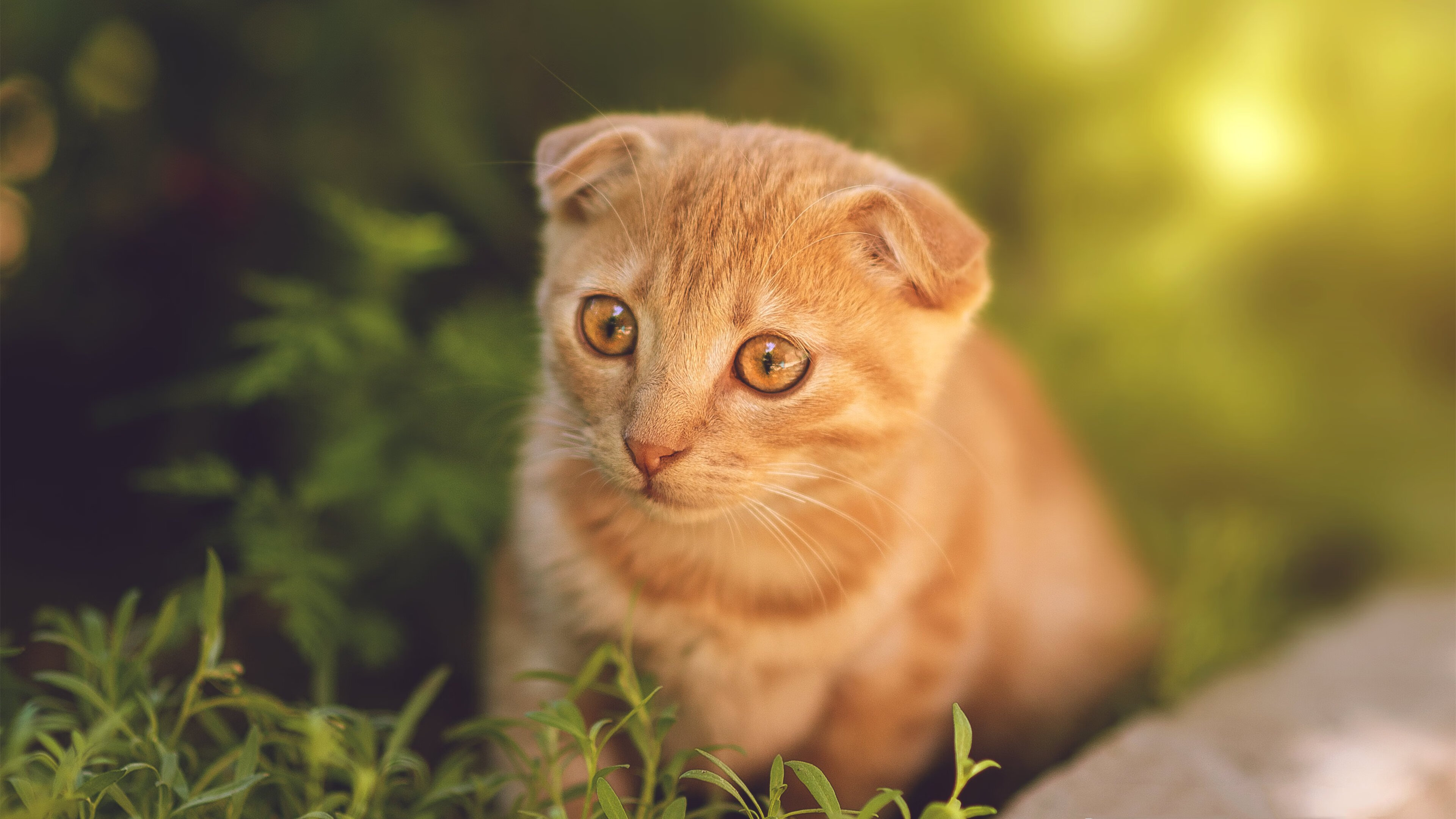 fb体育注册网址-“2025世界运动会：运动舞蹈赛场，舞者在旋转中挑战极限！”