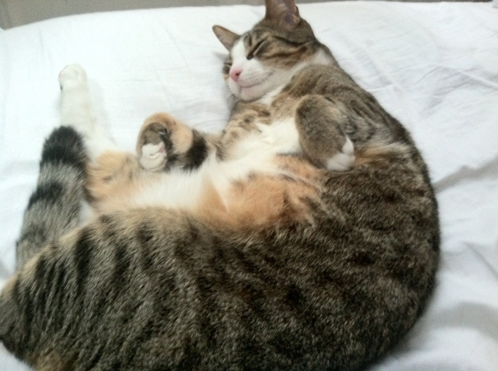 fb体育-中国女篮积极备战亚运会 锻炼新人力量，中国女篮亚运会2021赛程表