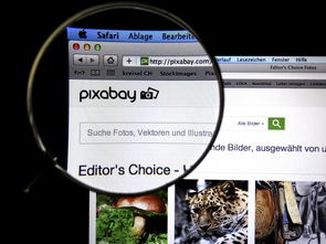 fb体育官网中国-体育新闻中心发布体育短视频传播效果白皮书，体育短视频成为平台和用户的新宠
