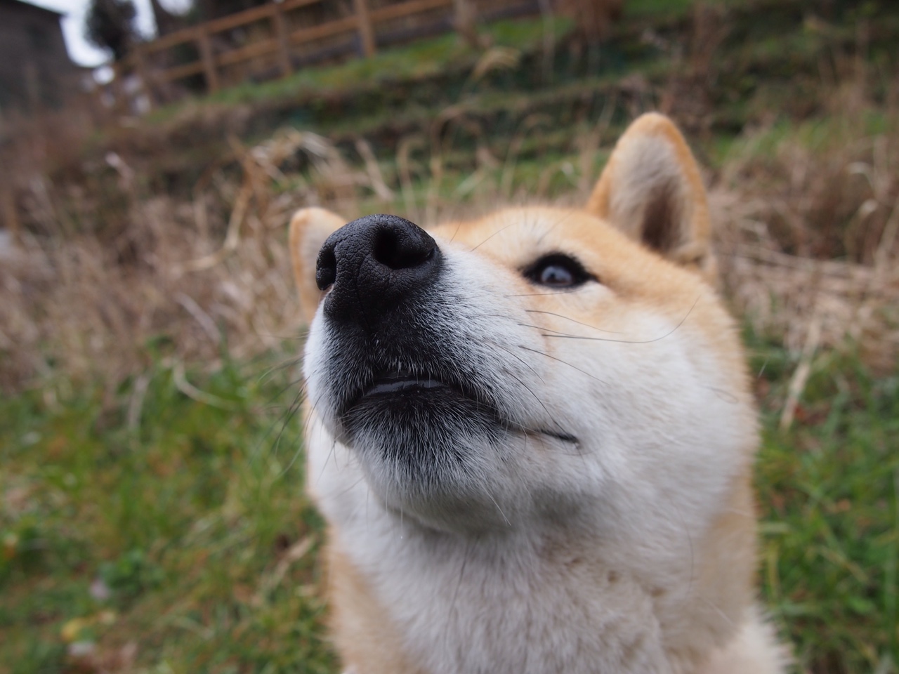 fb体育官网首页-球队是否需要在节奏变化中设定应急战术流程，球队机制