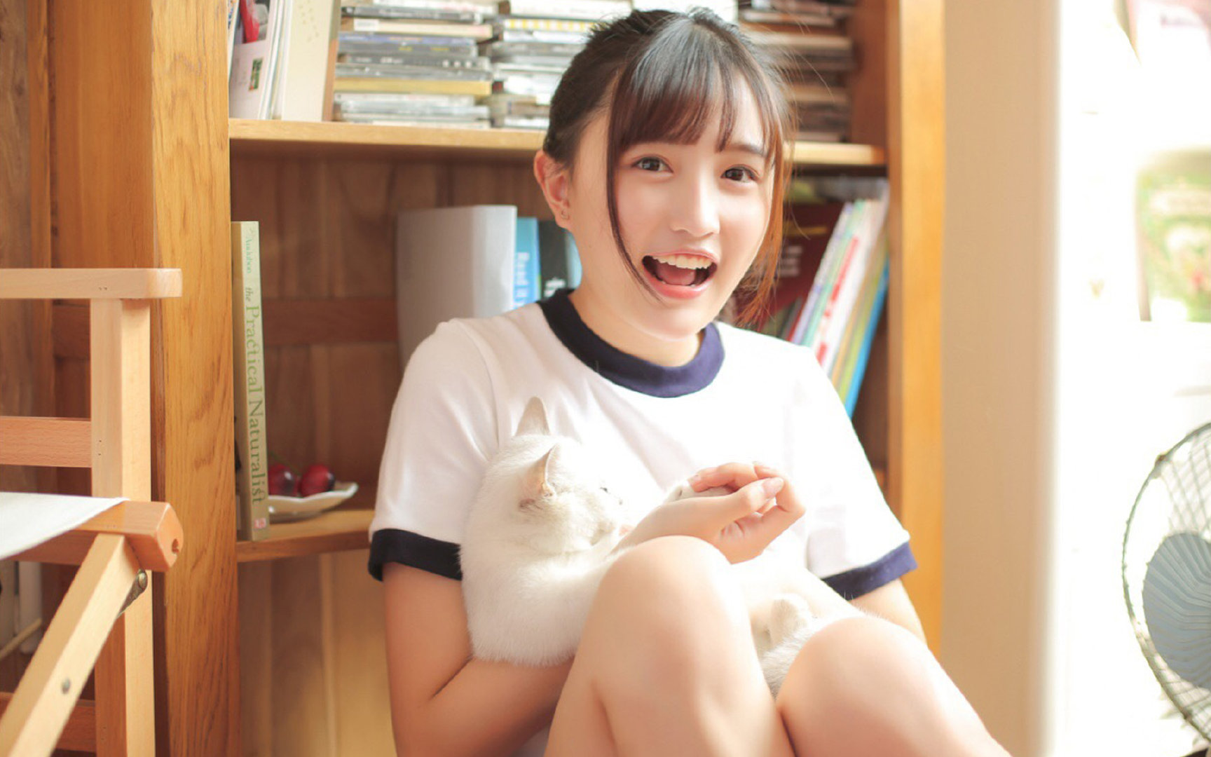 fb体育平台官网-比利时男篮在欧洲预赛中坚持不懈，迈向奥运目标，比利时男篮世界排名