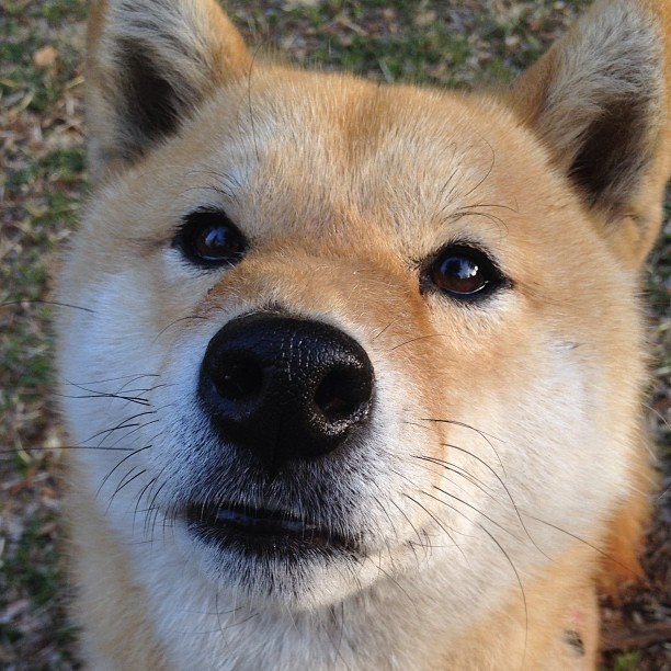 fb体育-篮球训练器械更新换代提高科学训练效率减少损伤风险，篮球训练器材清单表